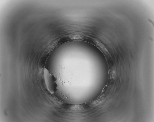 X0000095880521200801251143