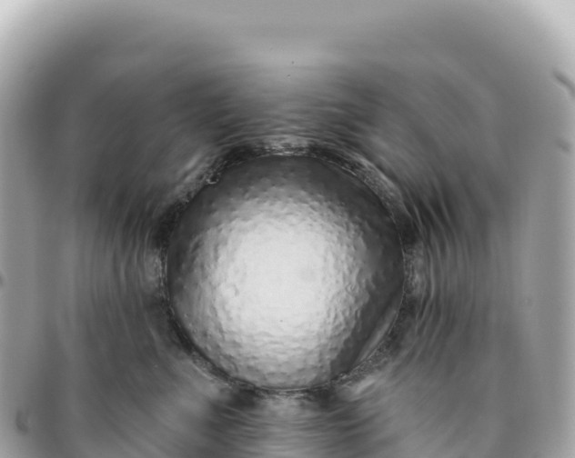 X0000095880523200801251143