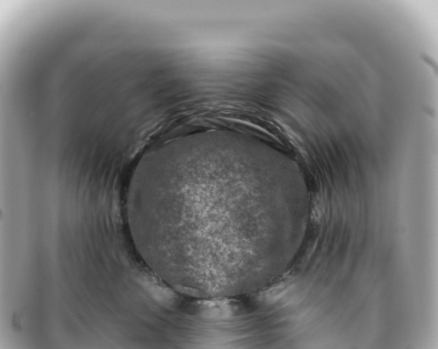 X0000095880524200801251143