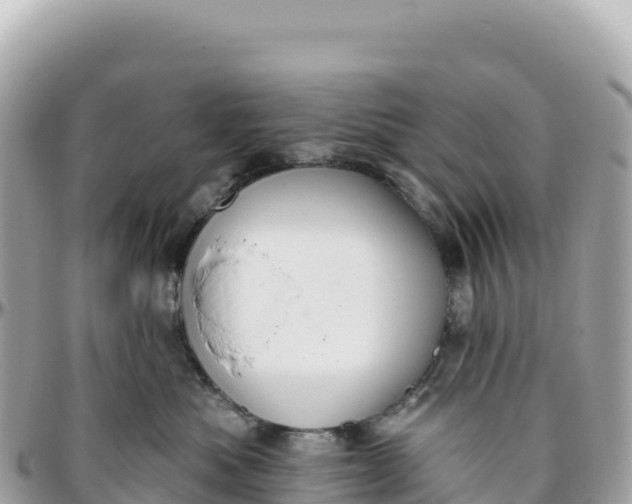 X0000095880525200801251143