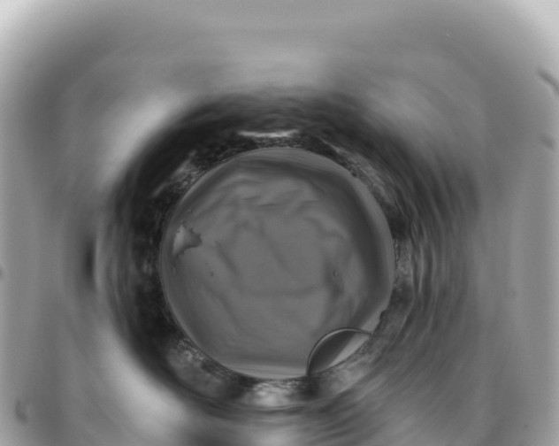 X0000095880526200801251143