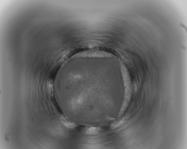 X0000095880527200801251143