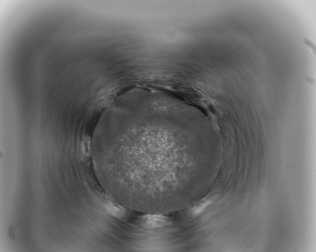 X0000095880528200801251143