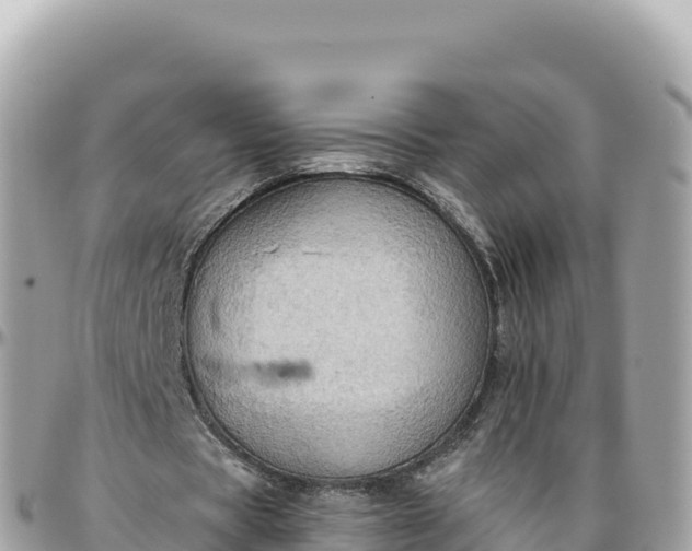 X0000095880529200801251142