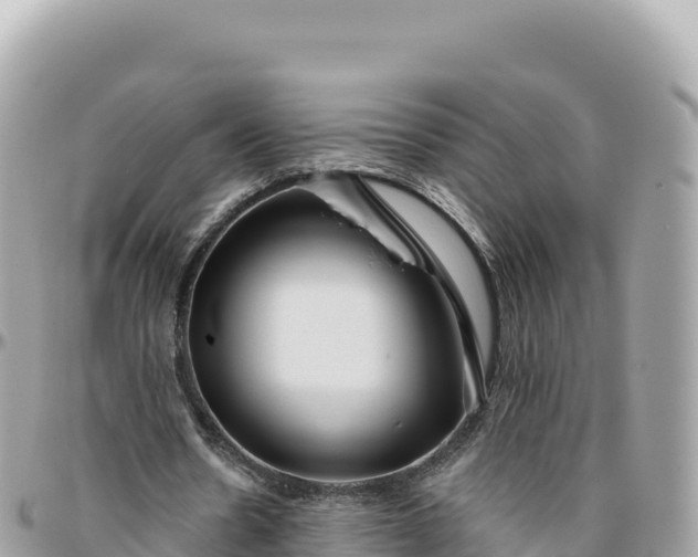 X0000095880530200801251142