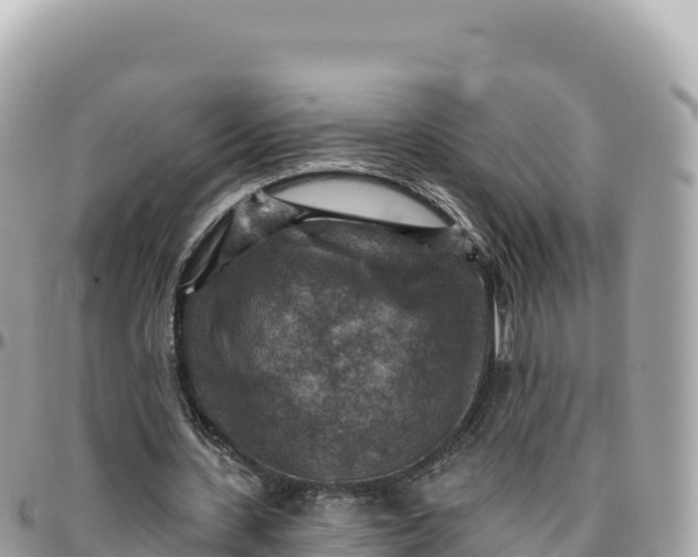 X0000095880531200801251142