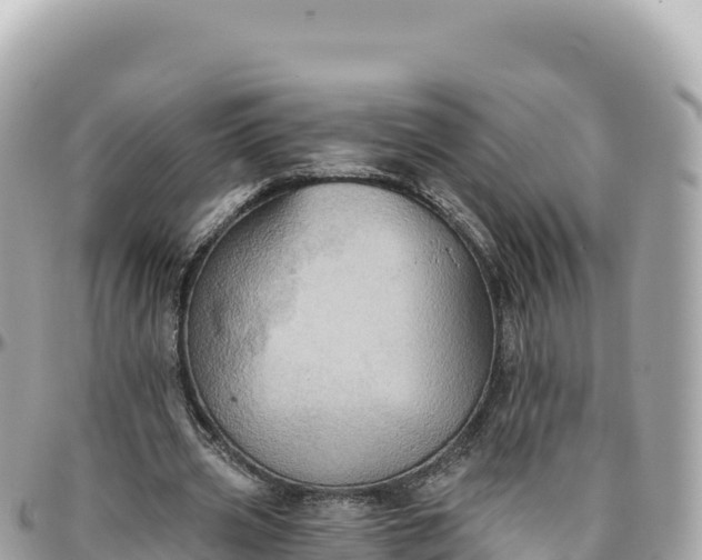 X0000095880533200801251142