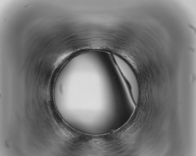 X0000095880536200801251142