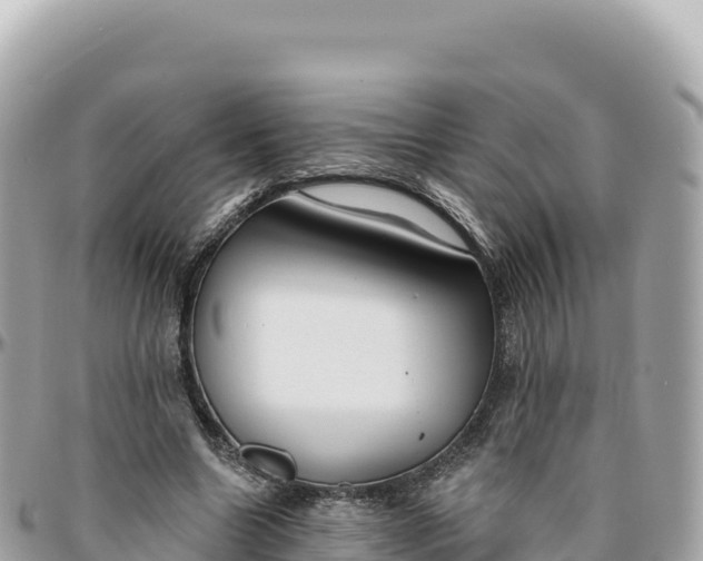 X0000095880538200801251142