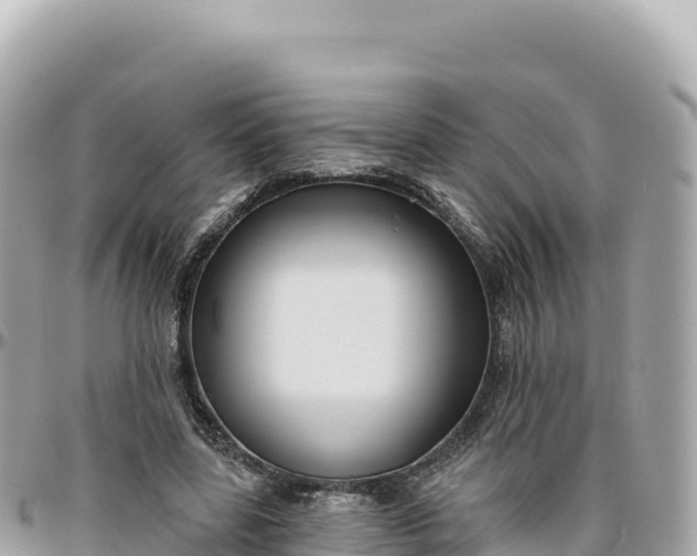 X0000095880539200801251142