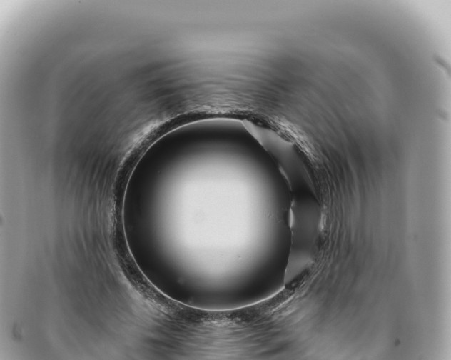 X0000095880540200801251142