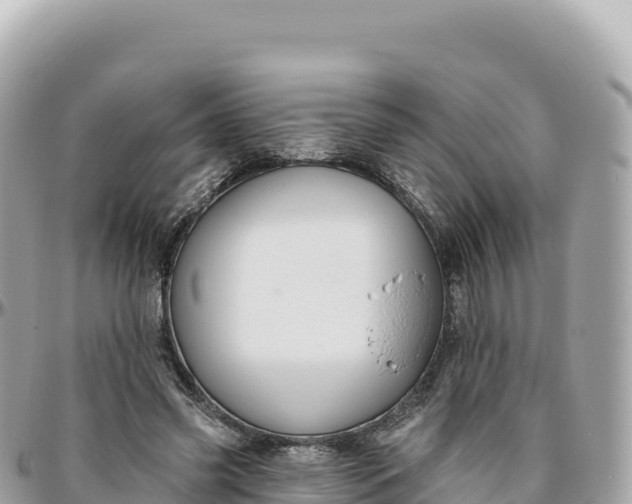 X0000095880541200801251142