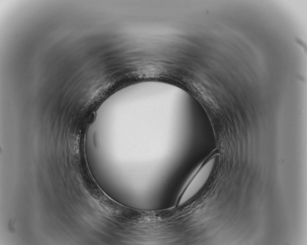 X0000095880543200801251142