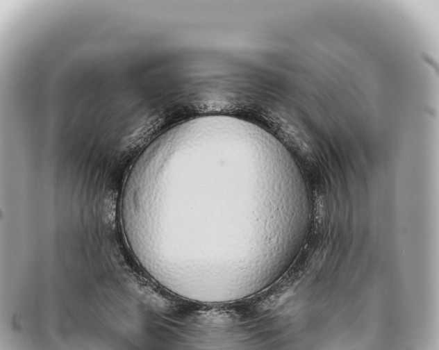 X0000095880545200801251142