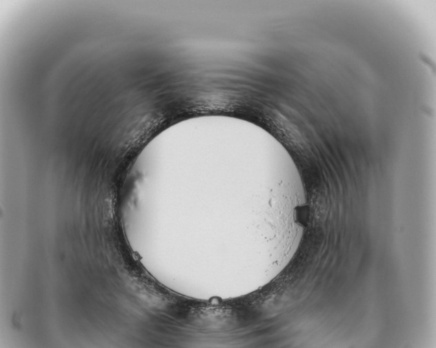 X0000095880546200801251142