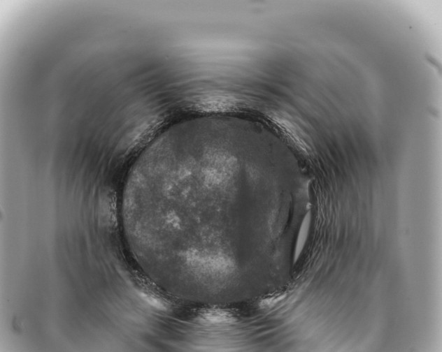 X0000095880547200801251143