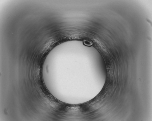 X0000095880548200801251143