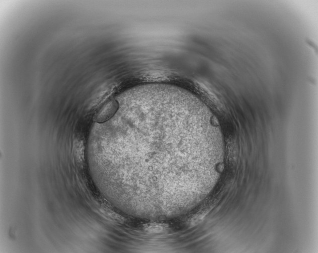 X0000095880549200801251143