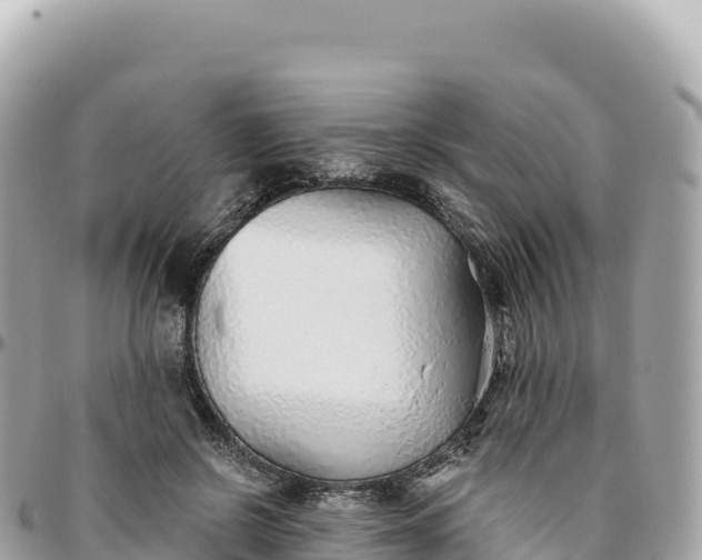 X0000095880550200801251143