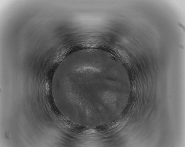 X0000095880551200801251143