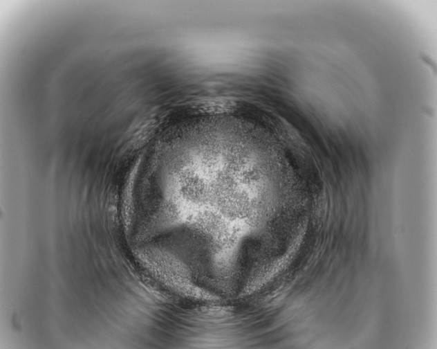 X0000095880553200801251143