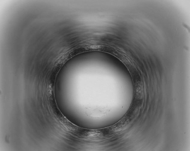 X0000095880555200801251143