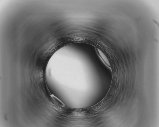 X0000095880556200801251143