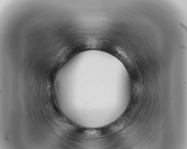 X0000095880557200801251143