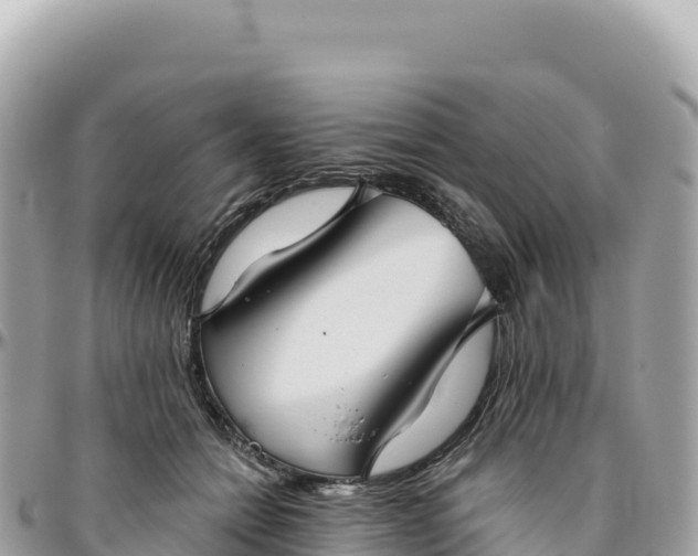 X0000095880558200801251143