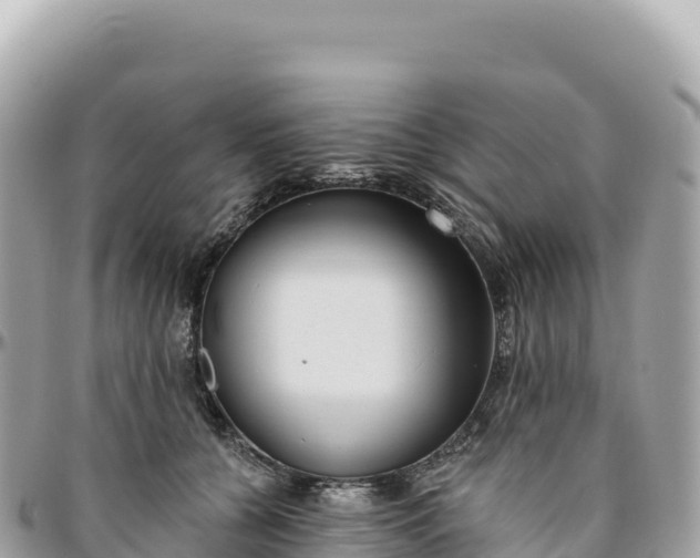 X0000095880560200801251143