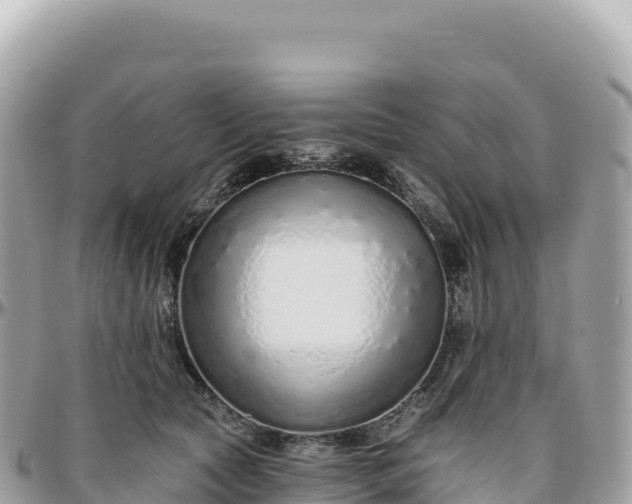 X0000095880561200801251143