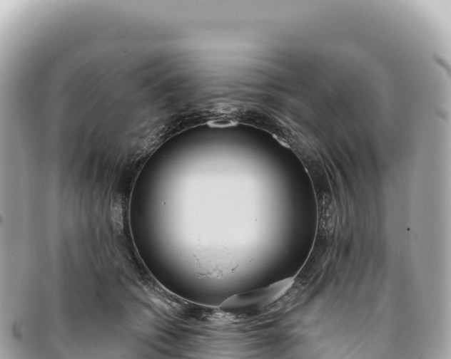 X0000095880562200801251143