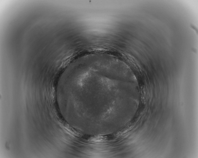 X0000095880563200801251143