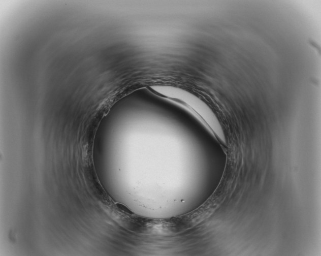 X0000095880564200801251143