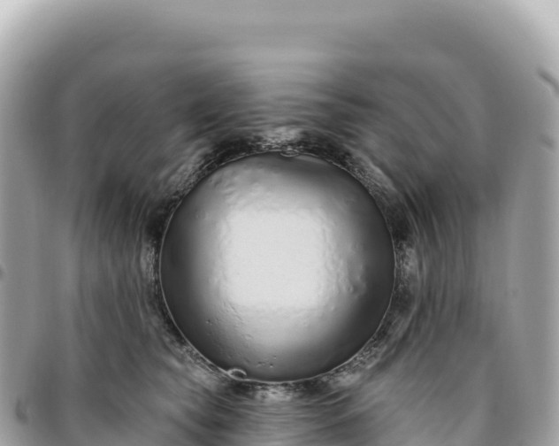 X0000095880565200801251143