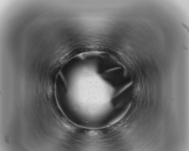 X0000095880566200801251143