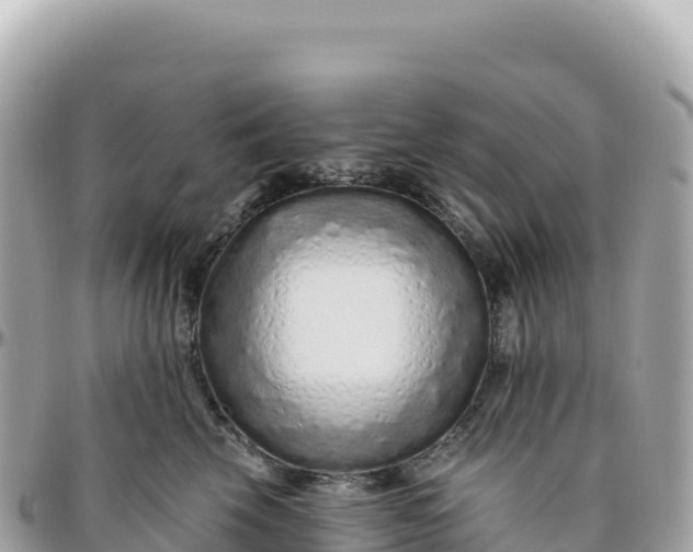 X0000095880569200801251143