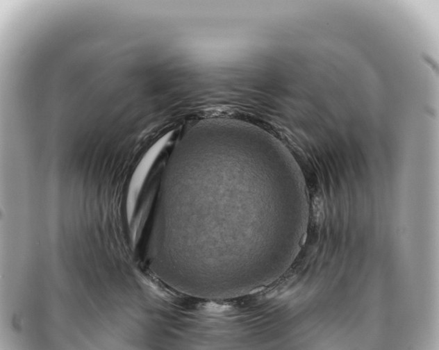 X0000095880570200801251143