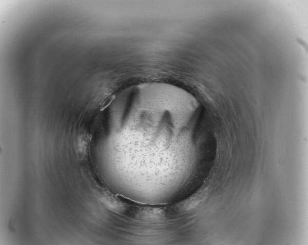 X0000095880576200801251143