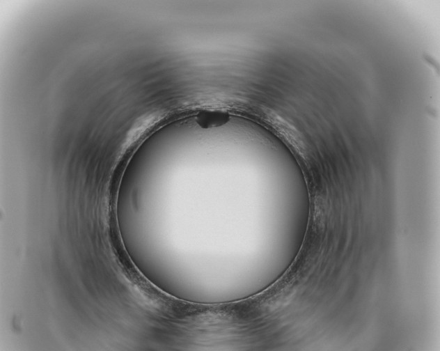 X0000095880578200801251142