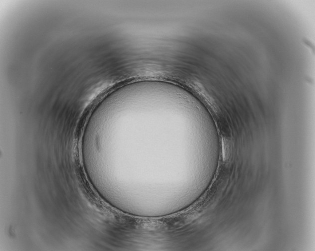 X0000095880579200801251142