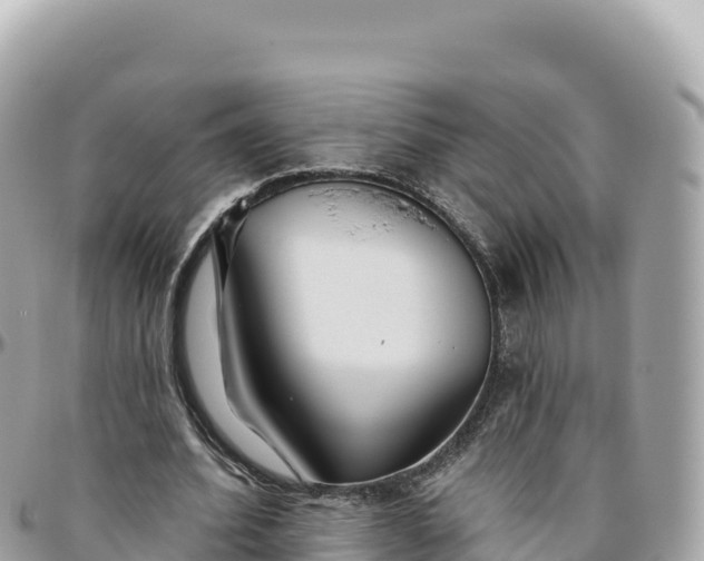 X0000095880580200801251142