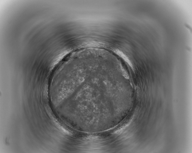 X0000095880581200801251142