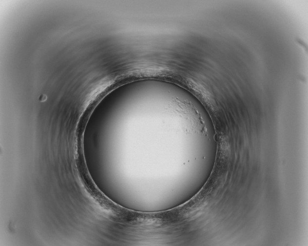 X0000095880582200801251142