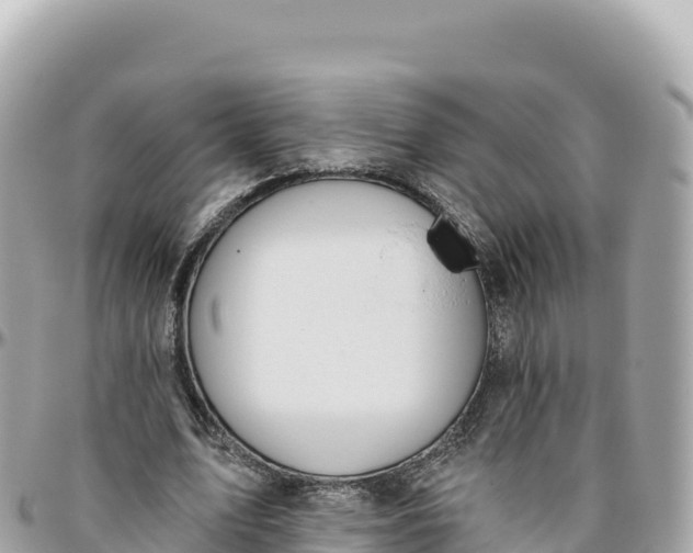 X0000095880583200801251142