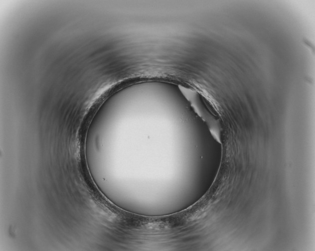 X0000095880584200801251142