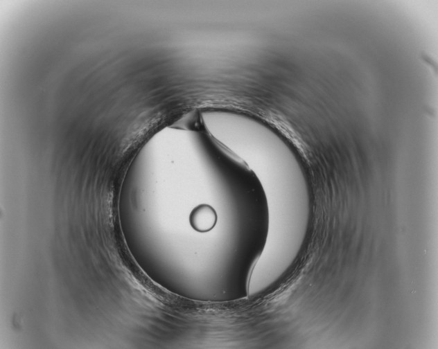 X0000095880585200801251142