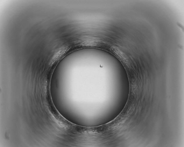 X0000095880586200801251142