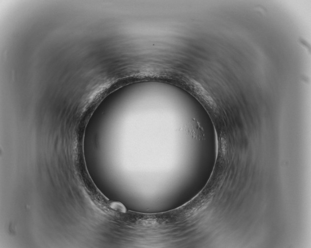 X0000095880588200801251142