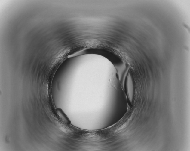 X0000095880589200801251142